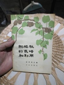 猕猴桃的栽培和利用 曲泽洲 主编 出版社: 农业出版社