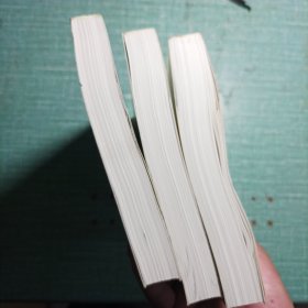 无愁河的浪荡汉子·朱雀城(全三册)