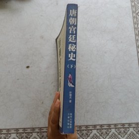 唐朝宫廷秘史 下册