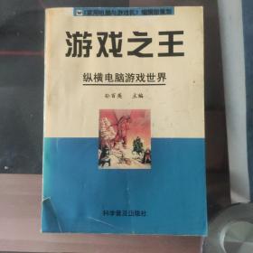 游戏之王：纵横电脑游戏世界