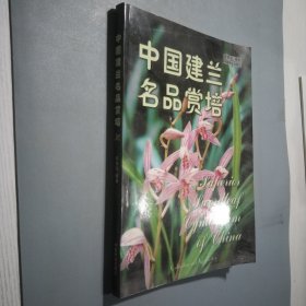 中国建兰名品赏培