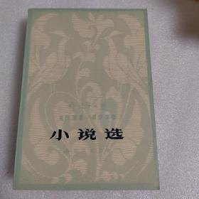 小说选