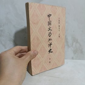 中国文学批评史（中册）