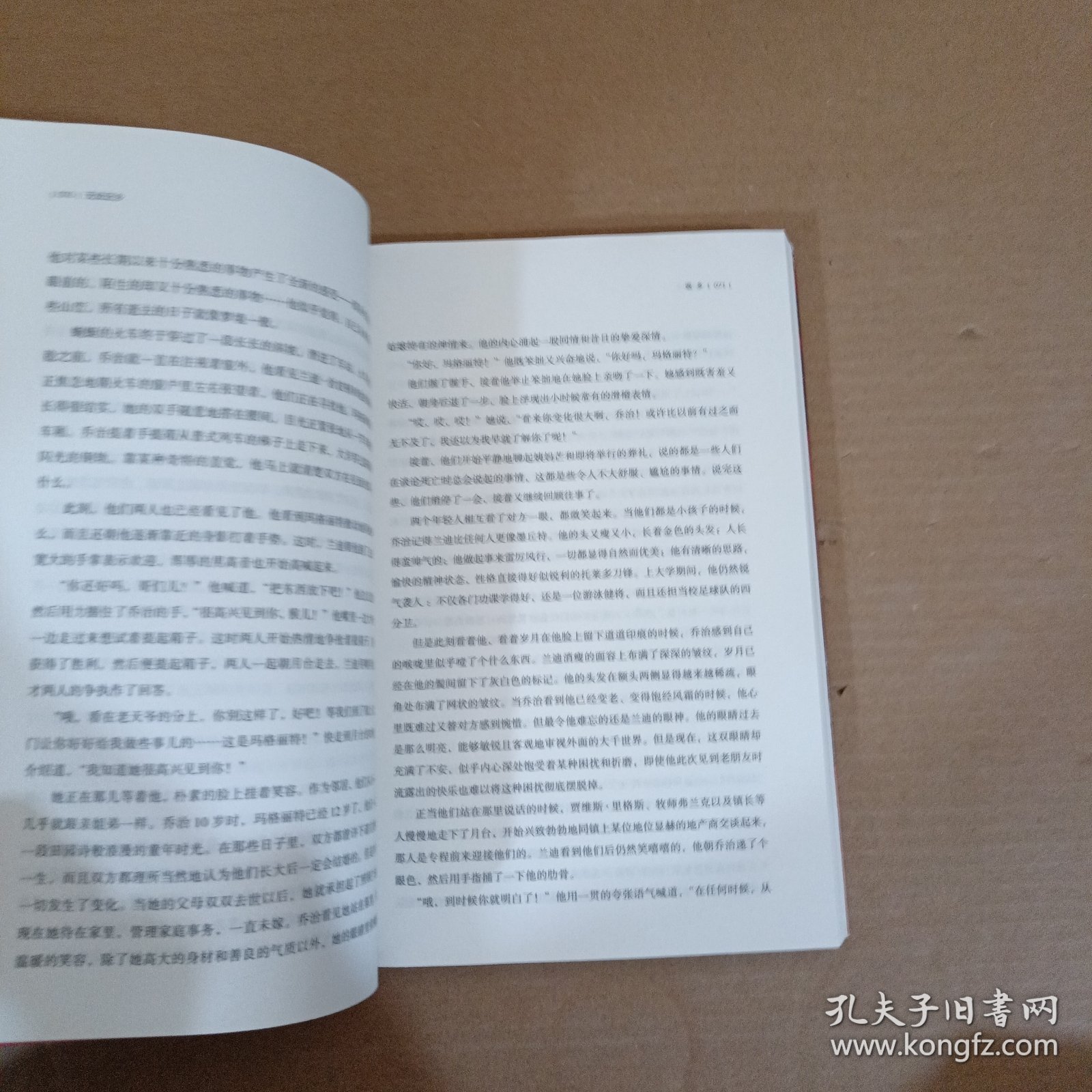 无处还乡：一个时代的真相 上册