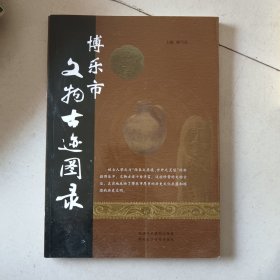 博乐市文物古迹图录