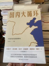 国内大循环(何毅亭、黄奇帆、孔丹、迟福林、姚洋、黄群慧等撰文)