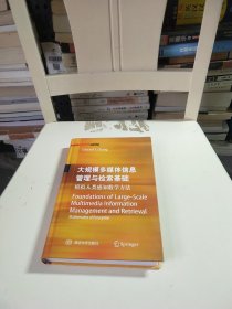 大规模多媒体信息管理与检索基础（英）：模拟人类感知数学方法