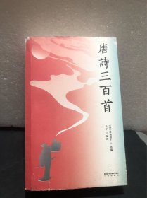 唐诗三百首 （95位诗人，384首经典唐诗。百余幅精美彩色插图，近3000条注释，附唐诗年谱，289年大唐文化简史）