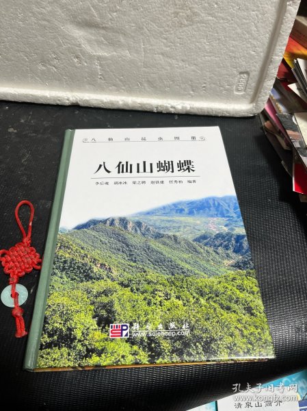 八仙山蝴蝶