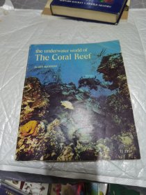 英文原版the underwater world of The Coral Reef 珊瑚礁的海底世界