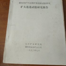 攀枝花矿中近期矿样选铁试验研究扩大连选试验研究报告