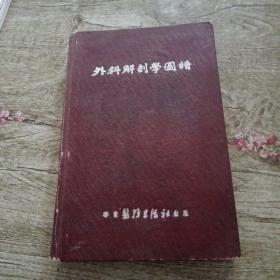 外科解剖学图谱（华东医务生活社出版）