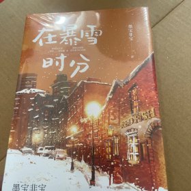 在暴雪时分