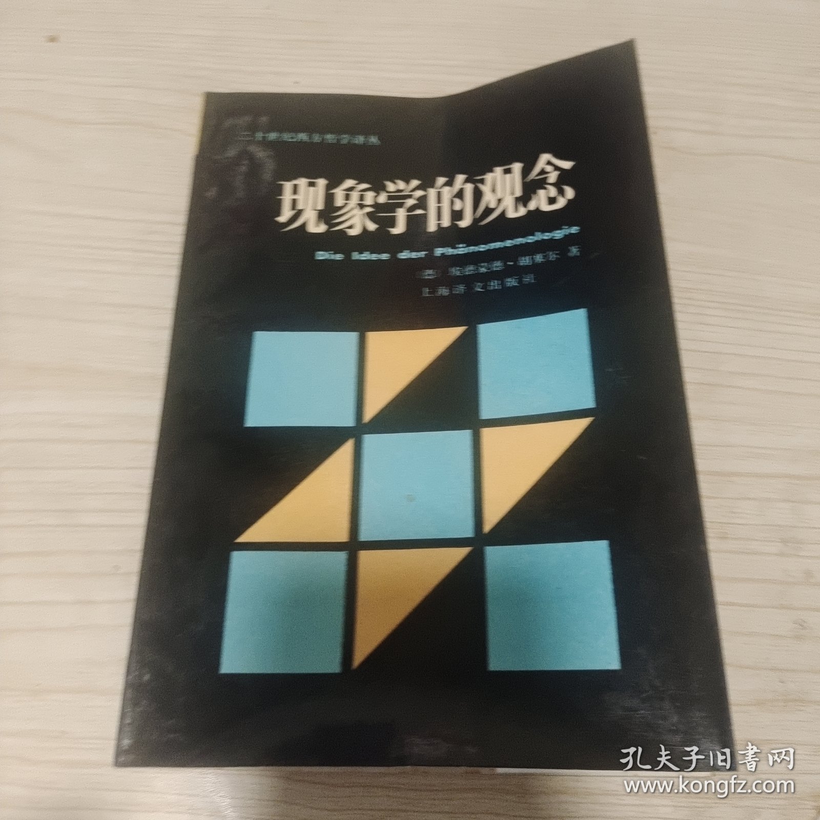 现象学的观念