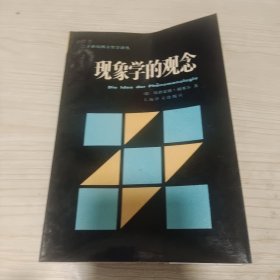 现象学的观念