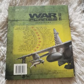 世界武器手绘珍藏本：战机