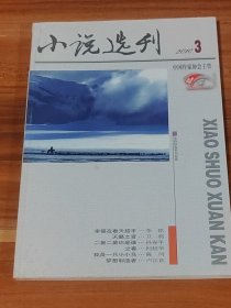 小说选刊 2010-3