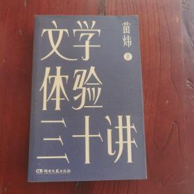 文学体验三十讲（三十个文学之夜一剂心灵解药一本书读懂数十部外国文学经典）