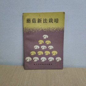 蘑菇新法栽培