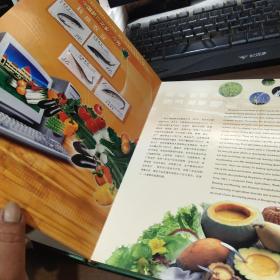 中国蔬菜之乡——寿光第五届中国（寿光）国际蔬菜科技博览会邮票珍藏纪念册 套装 邮票齐全