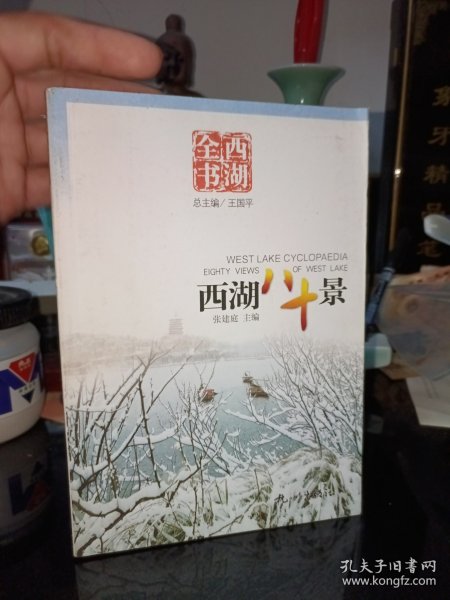 西湖全书：西湖八十景》带地图