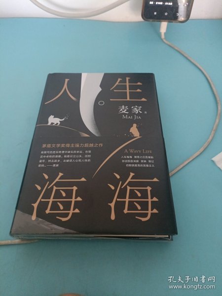 麦家：人生海海（茅盾文学奖得主麦家2019年强力之作）