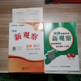 2024新观察：化学 九年级下册【含副本/及参考答案如图】教师用书