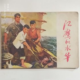 江鹰和水华