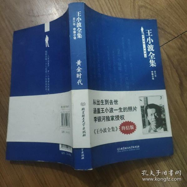 王小波全集（第六卷 中篇小说）：黄金时代 三十而立 似水流年 革命时期的爱情 我的阴阳两界