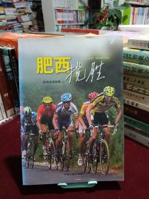 肥西揽胜