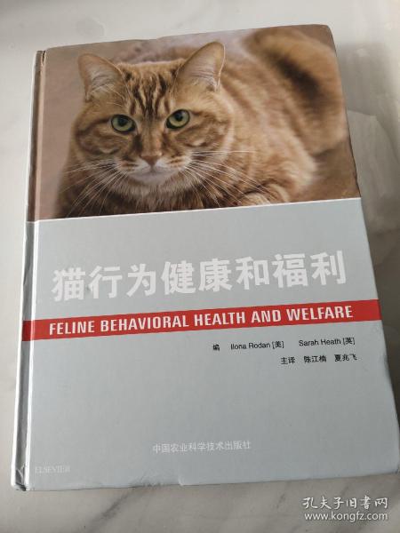 猫行为健康和福利