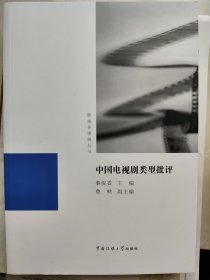 影视多棱镜丛书：中国电视剧类型批评
