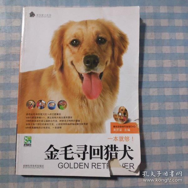 金毛寻回猎犬