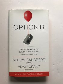 Option B: Facing Adversity, Building Resilience, and Finding Joy