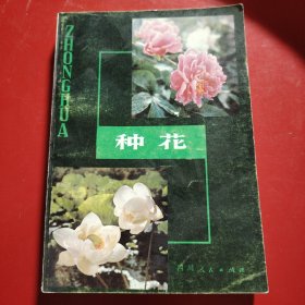 种花（修订本） 1983