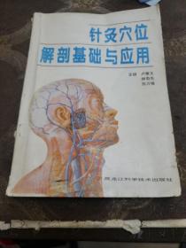 针灸穴位解剖基础与应用