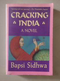 CRACKING INDIA  英文原版