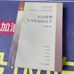 社会转型与当代知识分子 上海三联文库