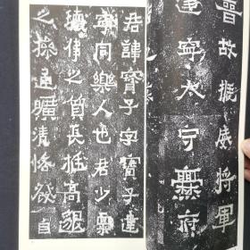 二玄社书迹名品丛刊  爨宝子碑 爨龙颜碑  有函套