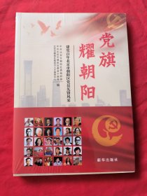 党旗耀朝阳：建党百年北京市朝阳区党员先锋风采