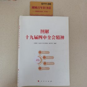 图解十九届四中全会精神