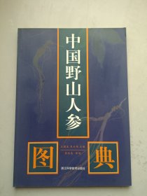 中国野山人参图典