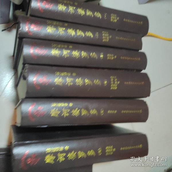 印度古代史诗摩诃婆罗多.全译本(1-6卷)