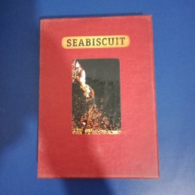 《奔腾年代》Seabiscuit 海洋饼干 曾经一个经济萧条的时代，一匹马成为了战胜困境的象征，比传奇更传奇