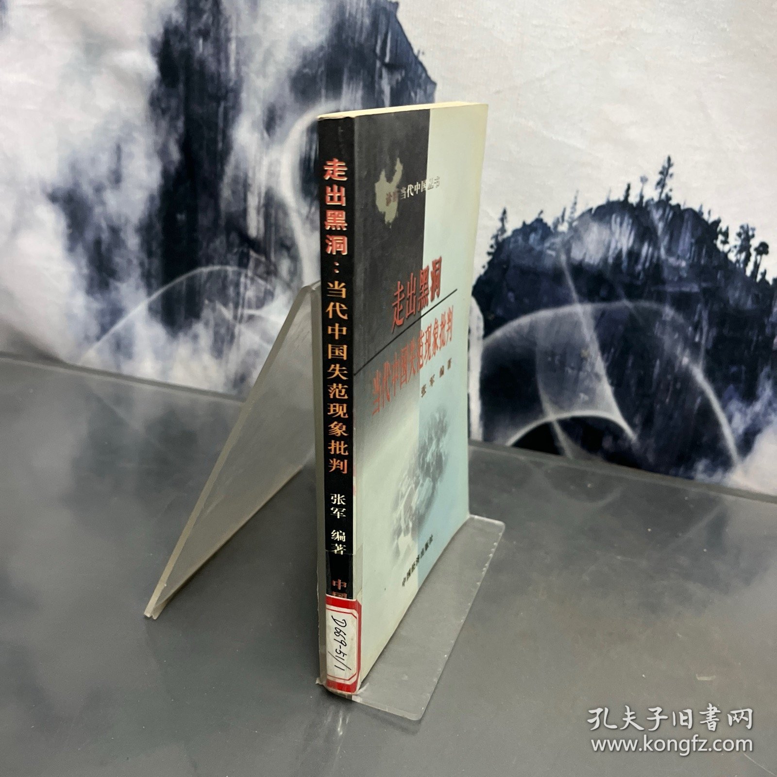 走出黑洞:中国当代社会失范现象批判