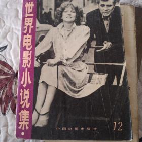 世界电影小说集12