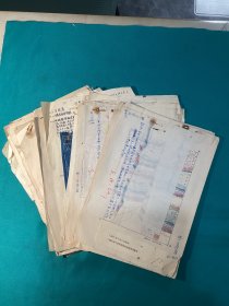 1951年山東大學(xué)生物系實驗報告作業(yè)一組-王德義