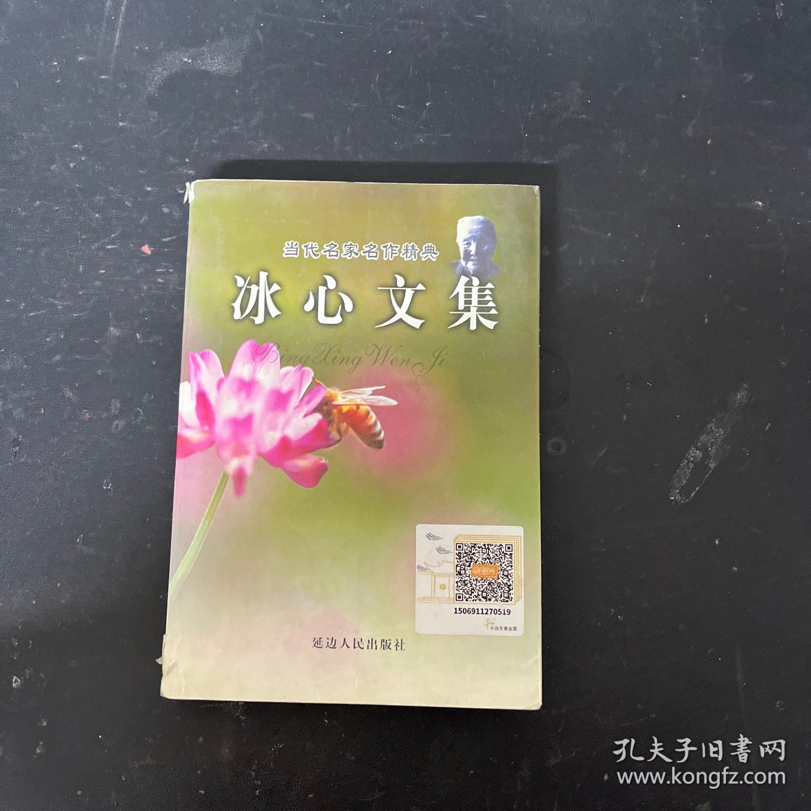 冰心文集 当代名家名作精典