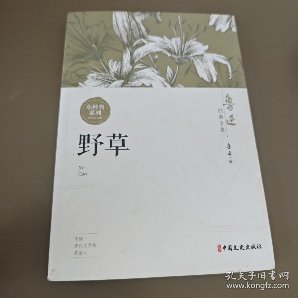 鲁迅经典全集（全10卷））