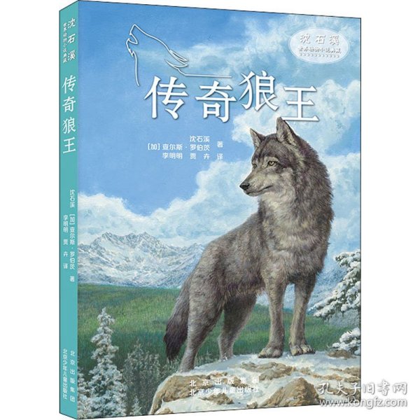 沈石溪世界动物小说典藏传奇狼王